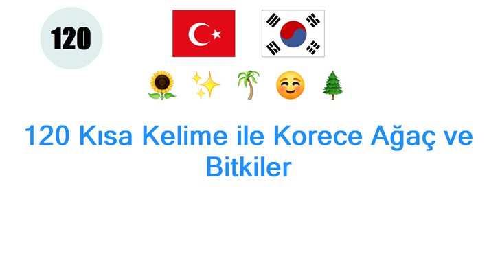 120 Kısa Kelime ile Korece Ağaç ve Bitkiler